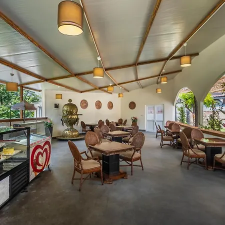 酒店 希美娜酒店 4*